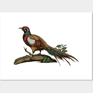 Hand Drawn Exotic Bird on tree branch Posters and Art